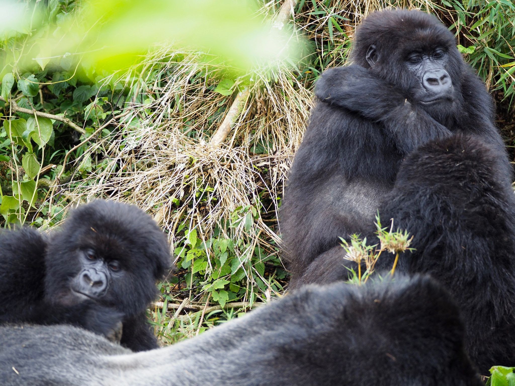 Rwanda